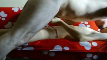Bokep Indo ABG Bispak Jakarta Hotel Skandal Terekam Viral Full HD 2025 poster